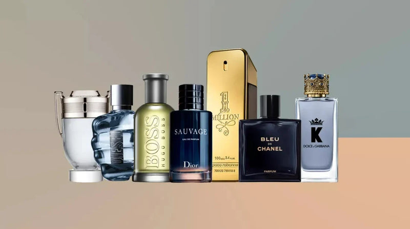 Main Collection